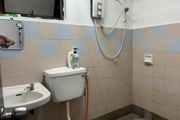 Evergreen Park Acorn and Hazel