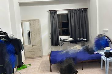 Evergreen Park Acorn and Hazel