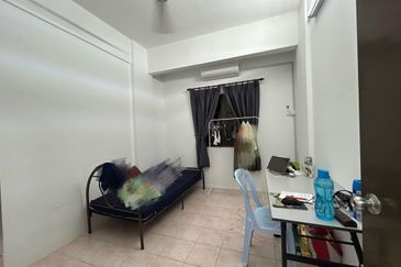 Evergreen Park Acorn and Hazel