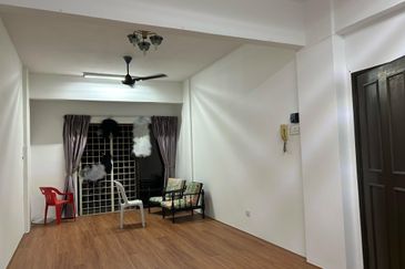 Evergreen Park Acorn and Hazel