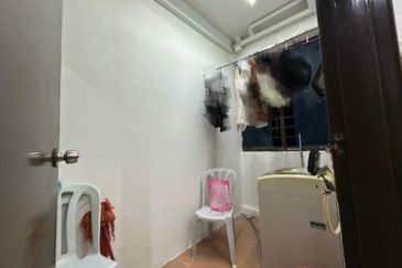 Evergreen Park Acorn and Hazel