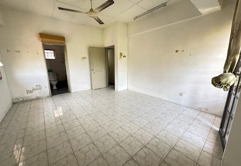 Evergreen Park Cypress