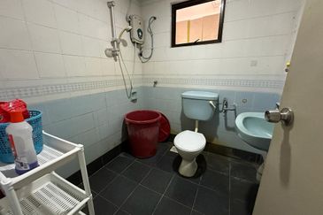 Evergreen Park Cypress