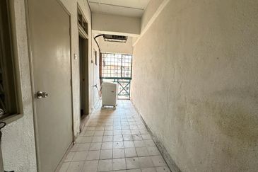 Evergreen Park Cypress