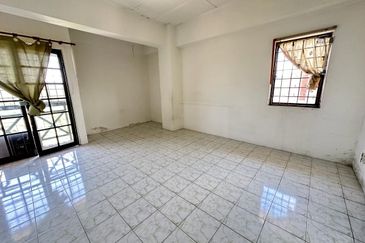 Evergreen Park Cypress