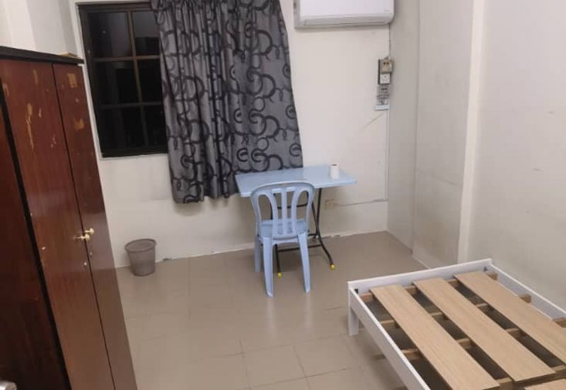 Evergreen Park Acorn and Hazel