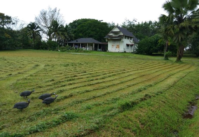 Agriculture Land @ Taiping