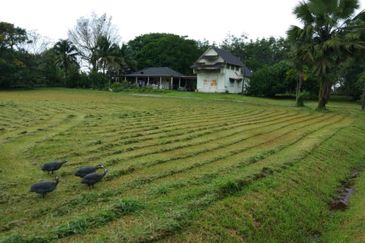 Agriculture Land @ Taiping