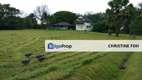 AGRICULTURE LAND @ TAIPING, TAIPING, PERAK FOR SALE , Perak, Taiping