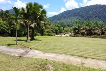 Agriculture Land @ Taiping