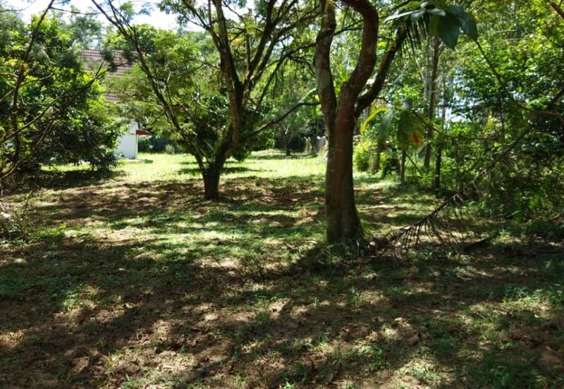 Agriculture Land @ Taiping