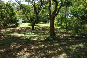 Agriculture Land @ Taiping