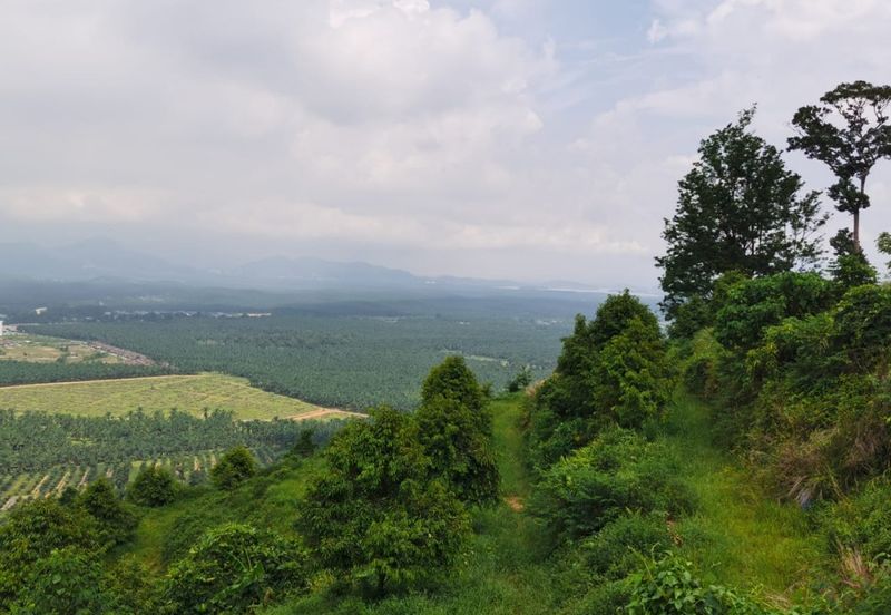Agriculture Land @ Taiping