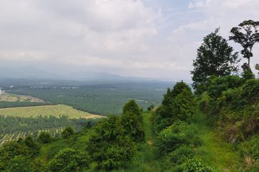 Agriculture Land @ Taiping
