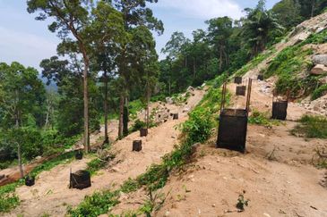 Agriculture Land @ Taiping