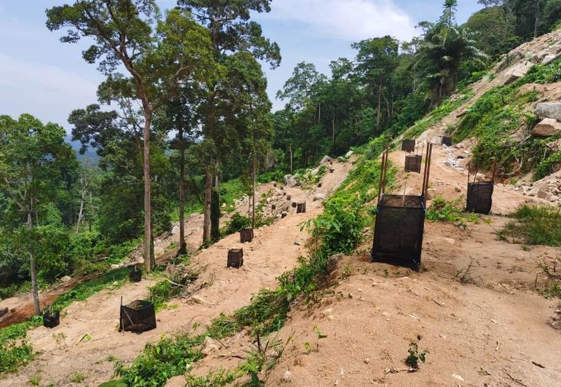 Agriculture Land @ Taiping