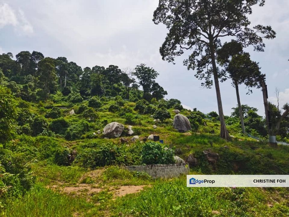 AGRICULTURE LAND @ TAIPING, TAIPING, PERAK FOR SALE , Perak, Taiping