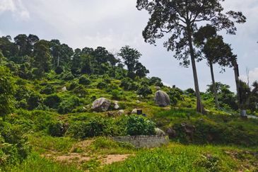 Agriculture Land @ Taiping