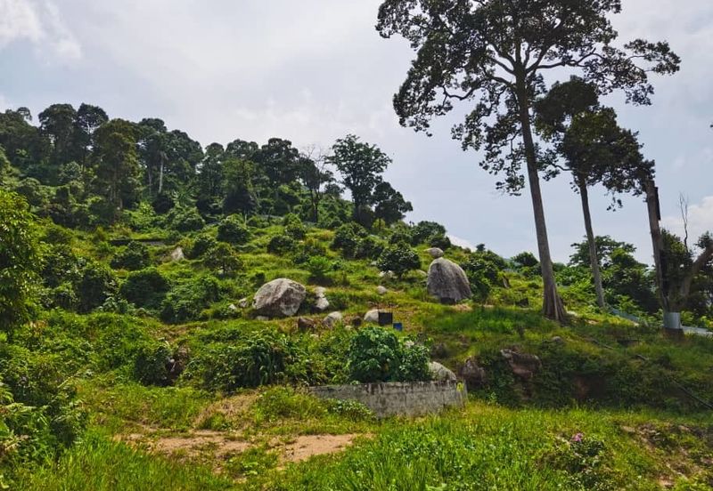 Agriculture Land @ Taiping