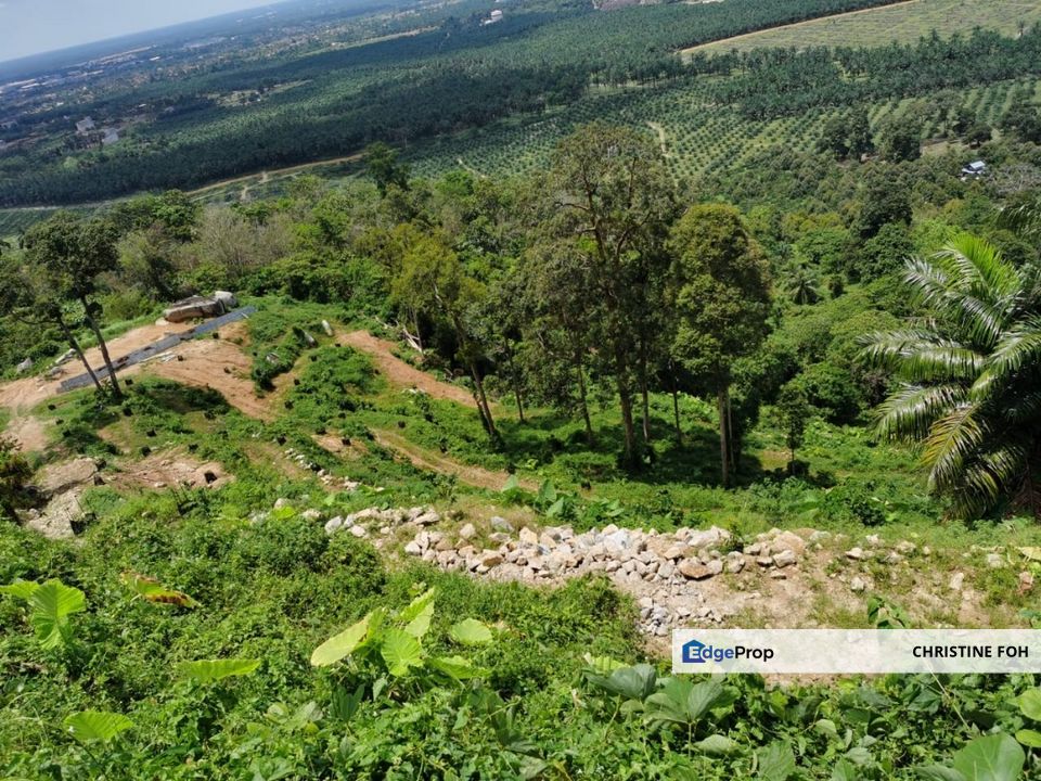 AGRICULTURE LAND @ TAIPING, TAIPING, PERAK FOR SALE , Perak, Taiping