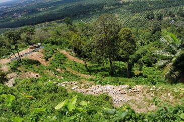 Agriculture Land @ Taiping
