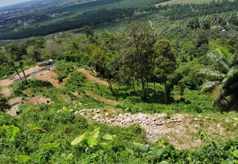 Agriculture Land @ Taiping