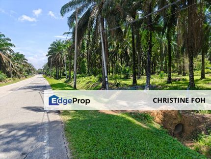 Selama, Larut Matang, Perak Land (Oil Palm) For Sale, Perak, Selama