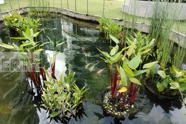 AraGreens Residences