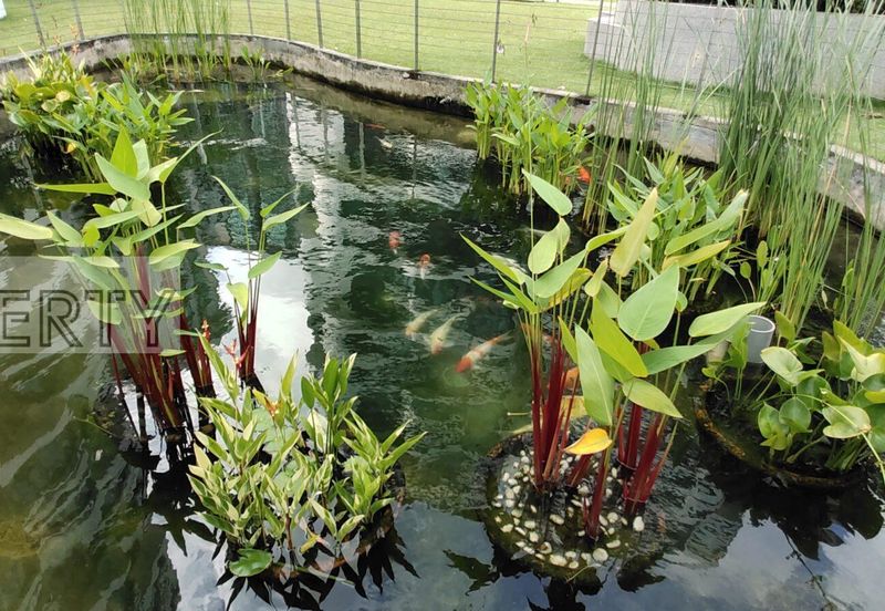 AraGreens Residences