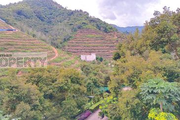 Balik Pulau / Teluk Bahang