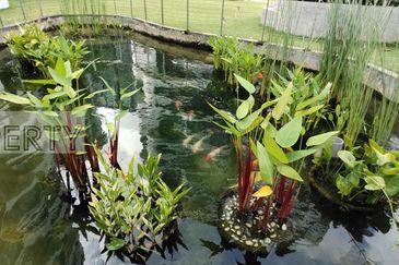 AraGreens Residences