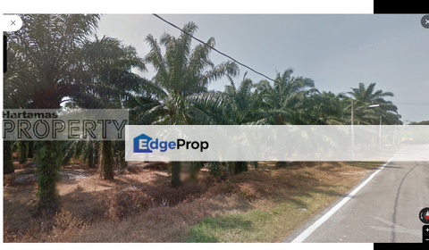 Sepang Agriculture Land for Sale, Selangor, Sepang