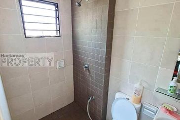 Sierra 8, Adenia & Areca