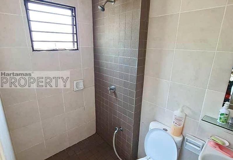 Sierra 8, Adenia & Areca