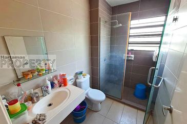 Sierra 8, Adenia & Areca