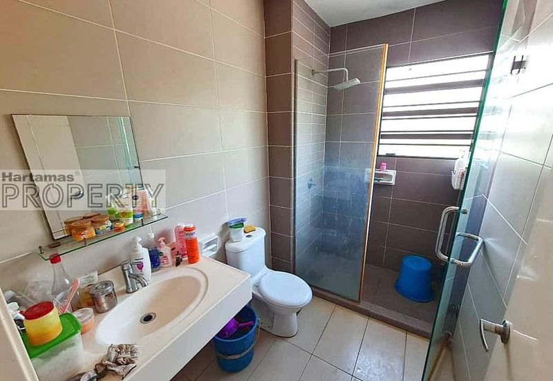 Sierra 8, Adenia & Areca