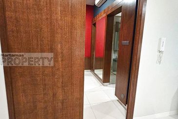 Cyperus @ Tropicana Gardens