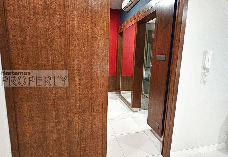 Cyperus @ Tropicana Gardens