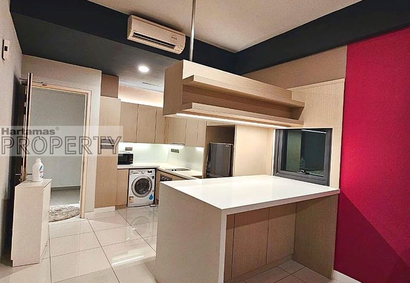 Cyperus @ Tropicana Gardens