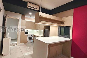 Cyperus @ Tropicana Gardens