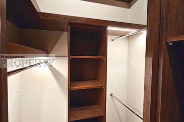 Cyperus @ Tropicana Gardens