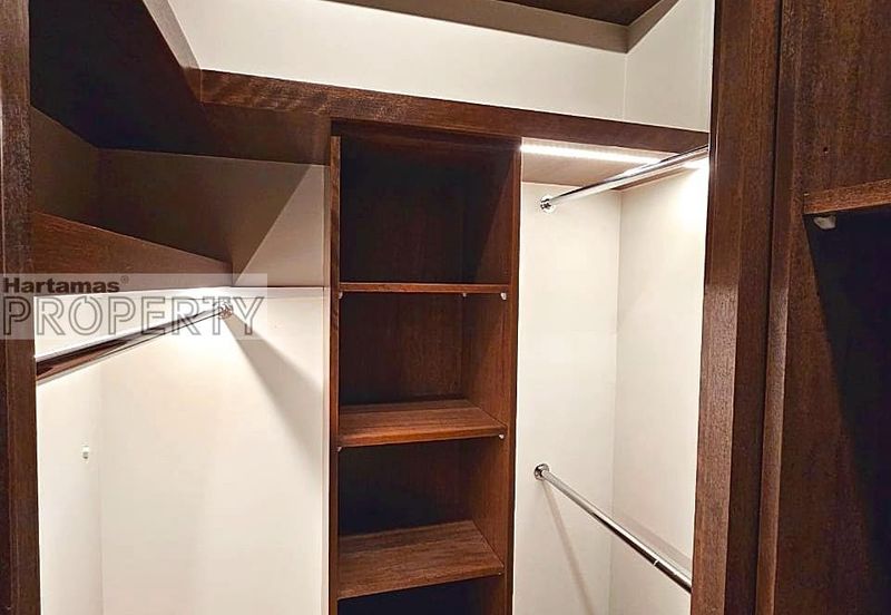 Cyperus @ Tropicana Gardens