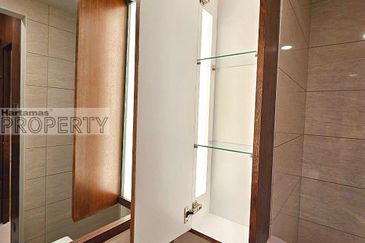 Cyperus @ Tropicana Gardens