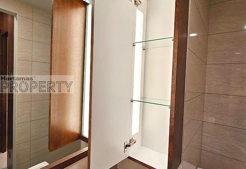 Cyperus @ Tropicana Gardens