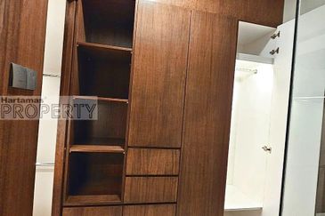 Cyperus @ Tropicana Gardens