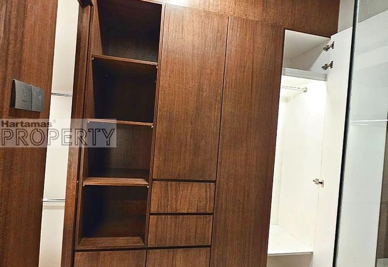 Cyperus @ Tropicana Gardens