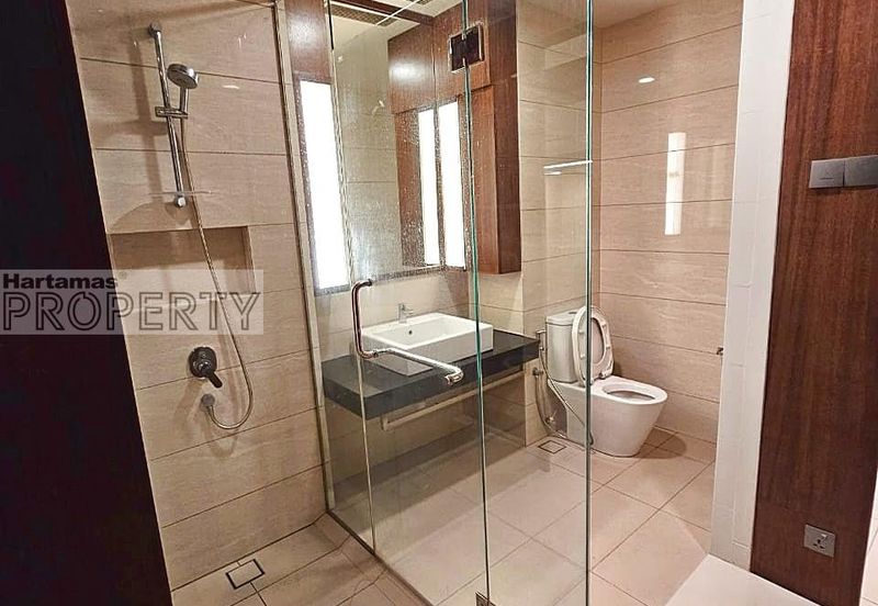 Cyperus @ Tropicana Gardens