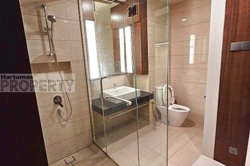 Cyperus @ Tropicana Gardens