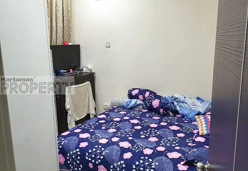 Winchester, Ara Damansara