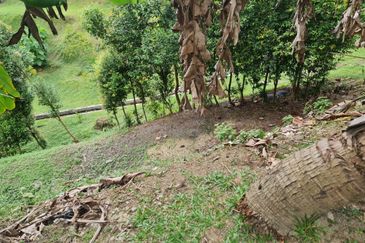 Sierramas (Sierramas East)